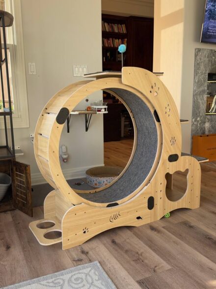 Furniture assembly work 10